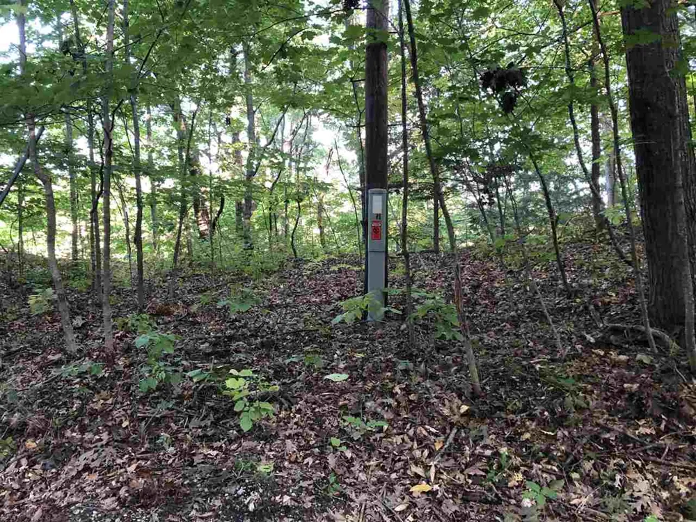 Crystal Downs Drive Lake Township, MI 49635
