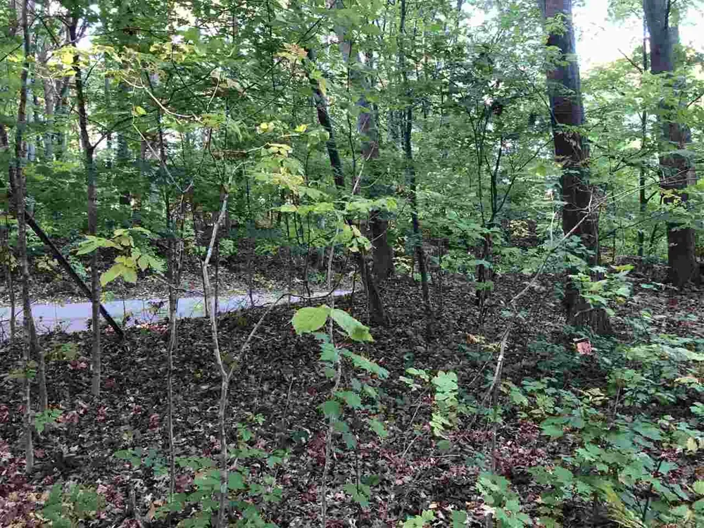 Crystal Downs Drive Lake Township, MI 49635