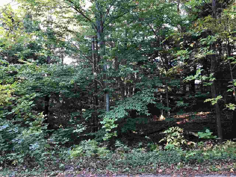 Crystal Downs Drive Lake Township, MI 49635