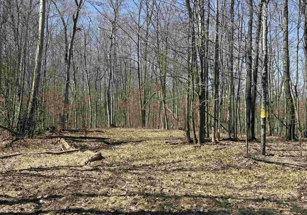 Honey Hollow Road Forest Home Township, MI 49615