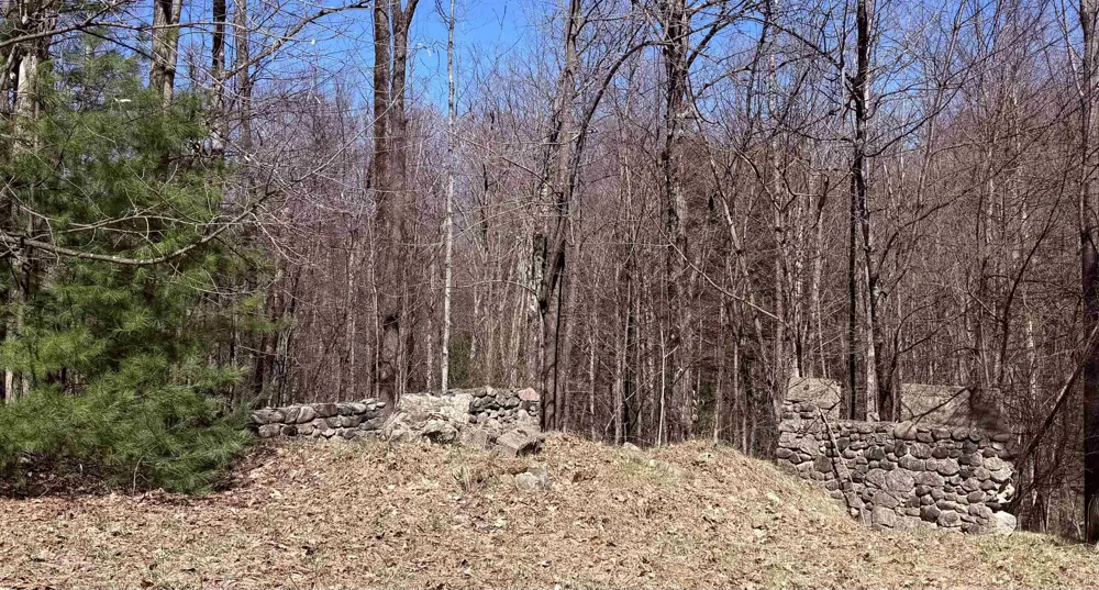Honey Hollow Road Forest Home Township, MI 49615