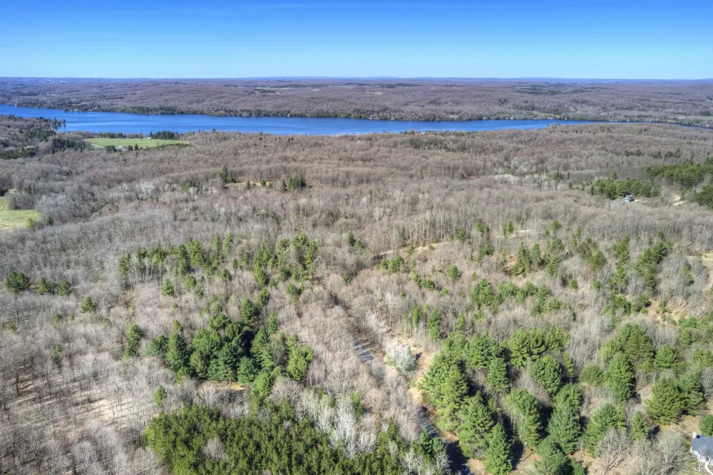 Honey Hollow Road Forest Home Township, MI 49615