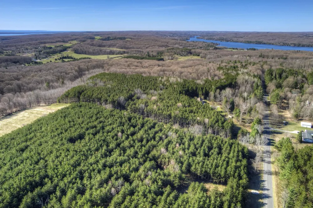 Honey Hollow Road Forest Home Township, MI 49615