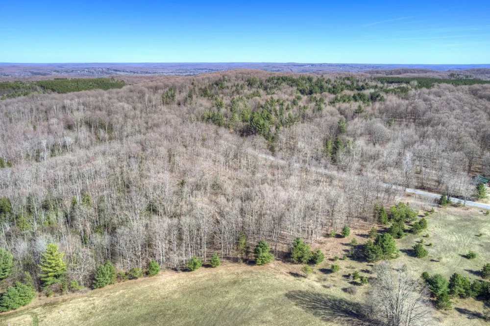 Honey Hollow Road Forest Home Township, MI 49615