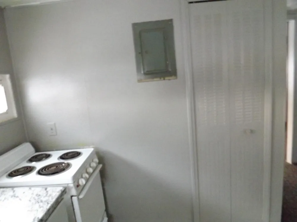 163 Lincoln Alley Belvidere Township, MI 48891
