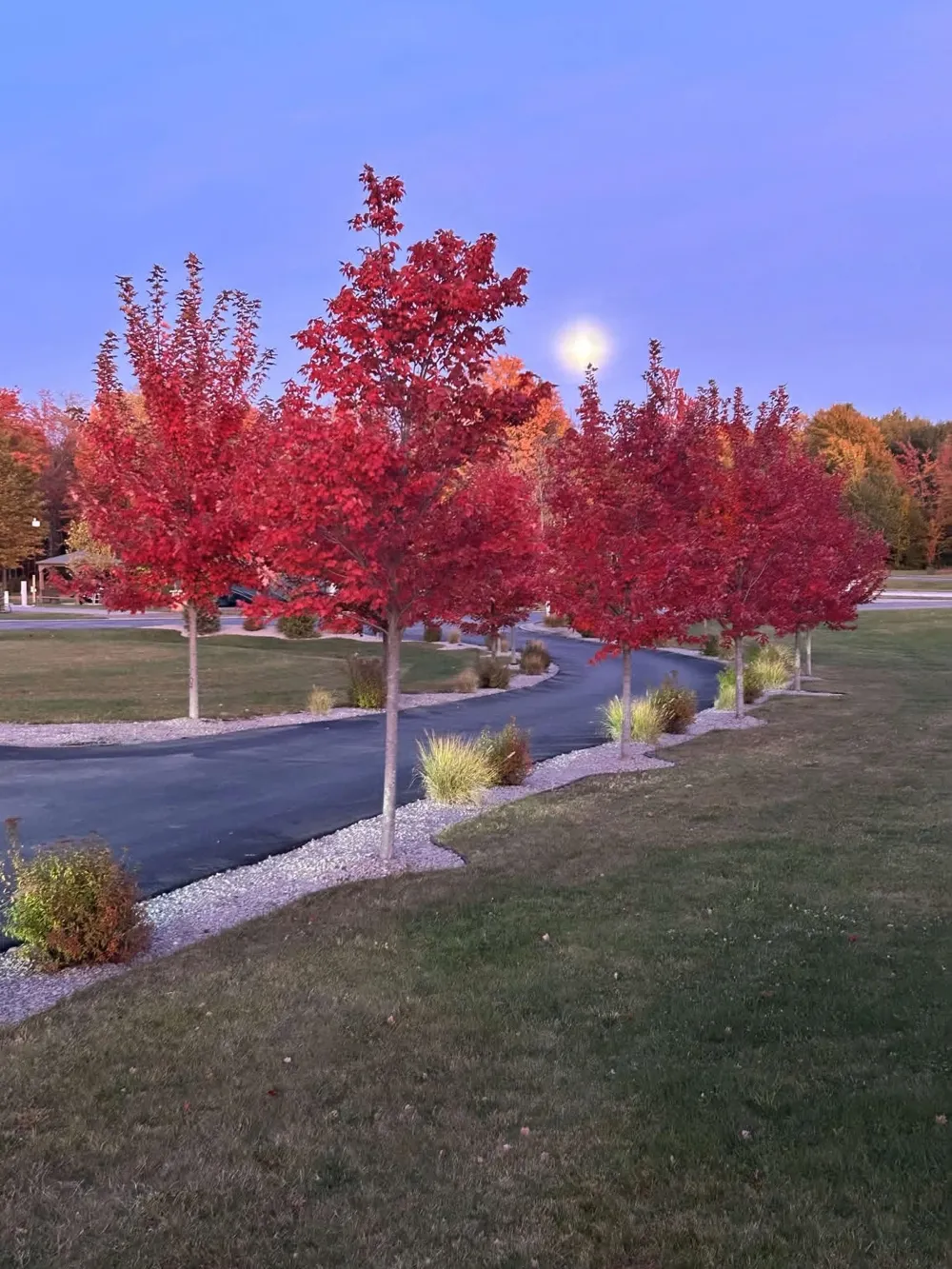 6100 SW Larson Road Boardman Township, MI 49680