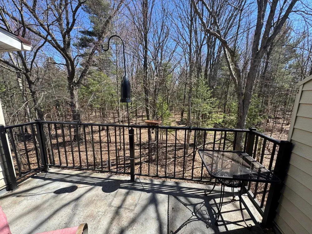 4250 Mitchell Creek Drive East Bay Township, MI 49686