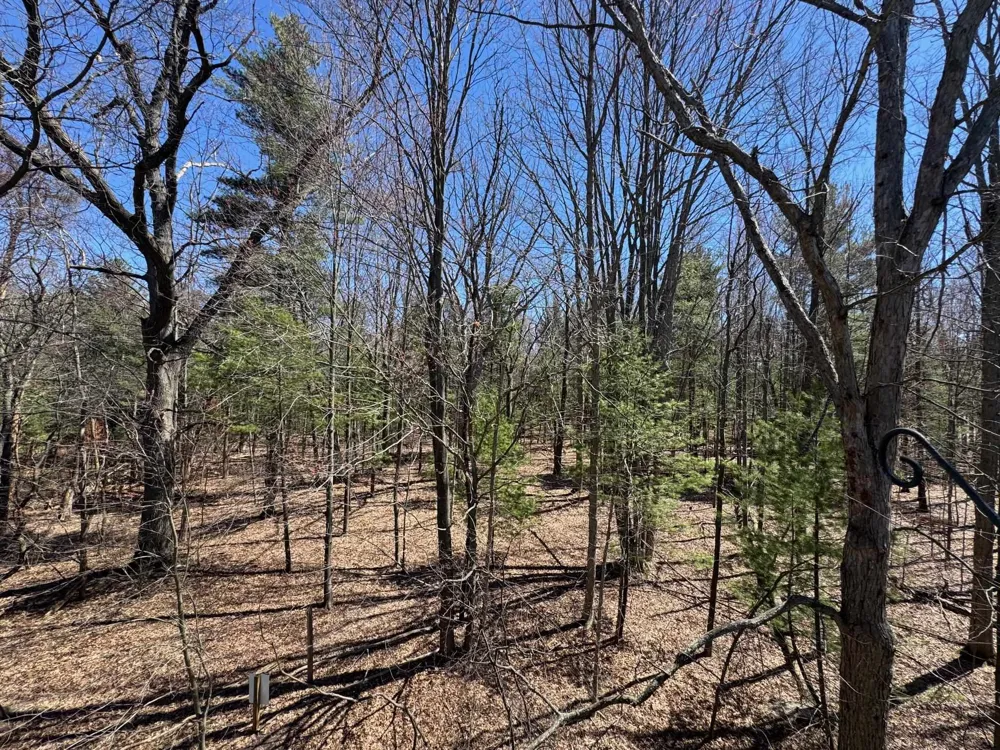 4250 Mitchell Creek Drive East Bay Township, MI 49686