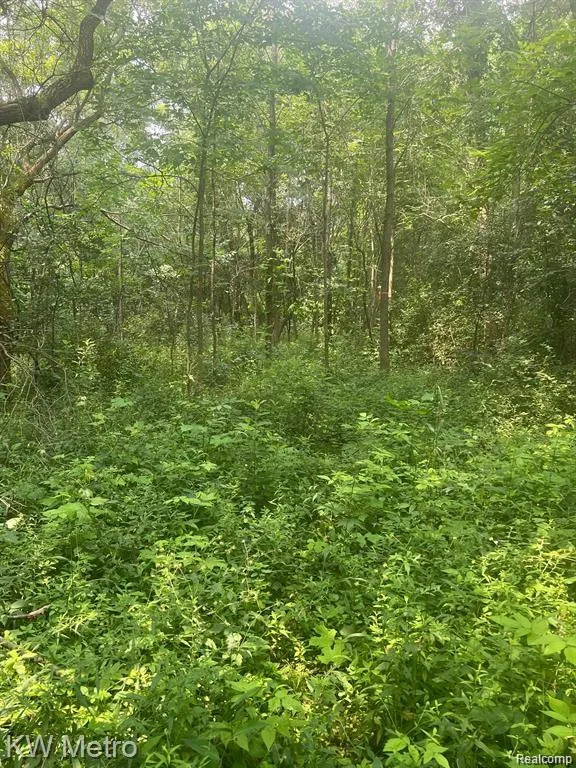 1135 Baldwin Road Brandon Charter Township, MI 48371