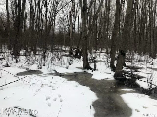 1135 Baldwin Road Brandon Charter Township, MI 48371