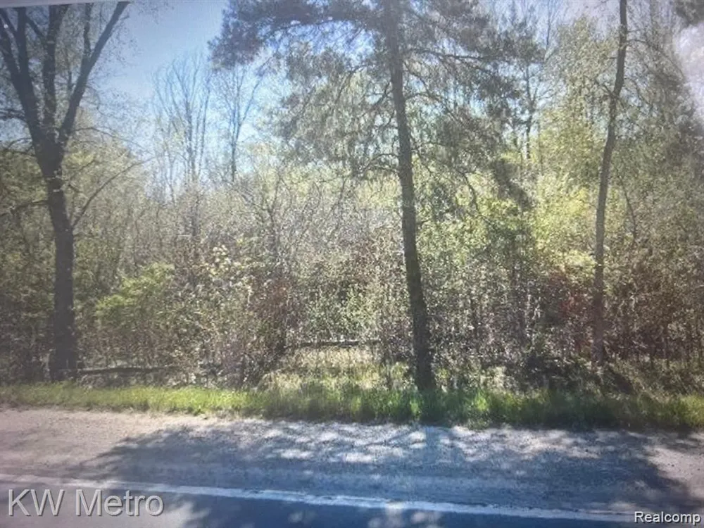 1135 Baldwin Road Brandon Charter Township, MI 48371
