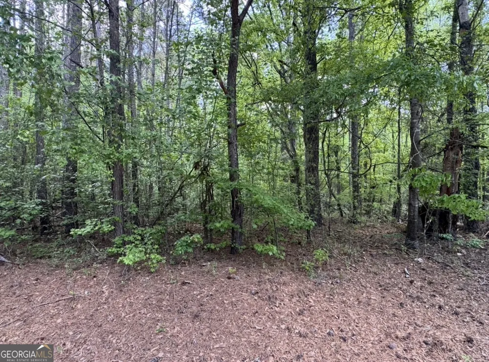 N OF 482 Antioch Road - 25.596 Acres Fayetteville, GA 30215
