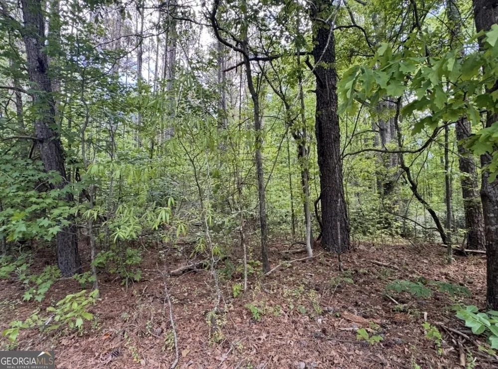 N OF 482 Antioch Road - 25.596 Acres Fayetteville, GA 30215