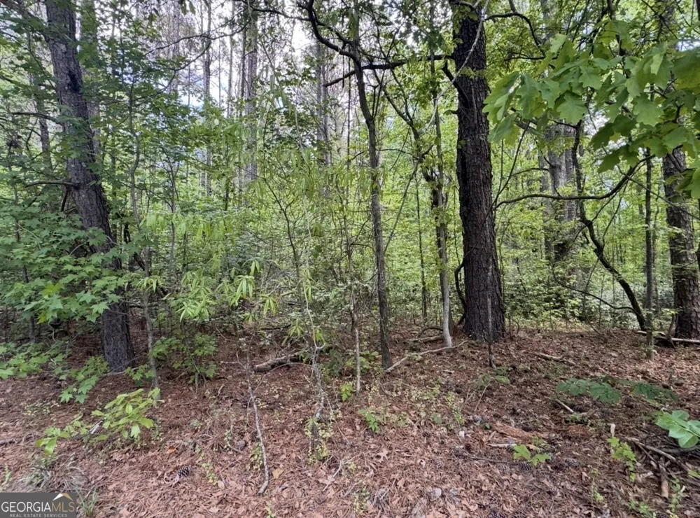 N OF 482 Antioch Road - 25.596 Acres Fayetteville, GA 30215