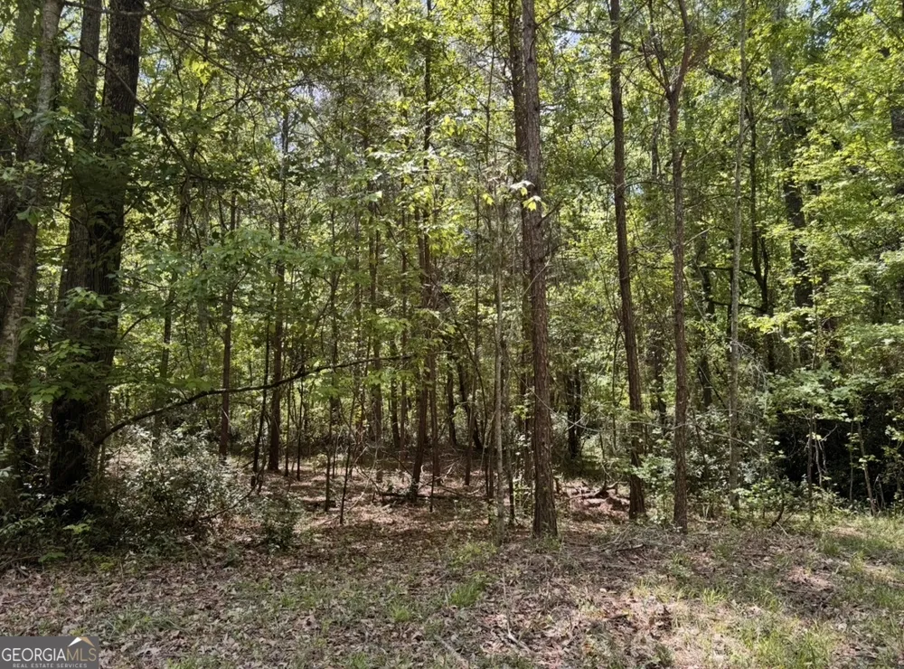 N OF 482 Antioch Road - 25.596 Acres Fayetteville, GA 30215