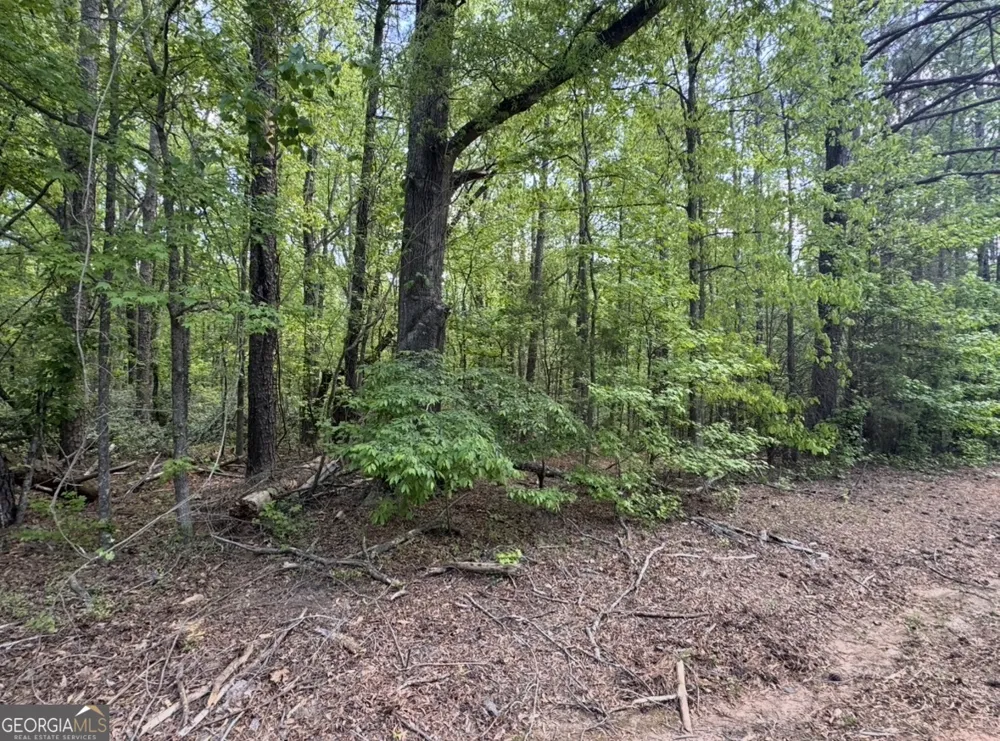 N OF 482 Antioch Road - 25.596 Acres Fayetteville, GA 30215