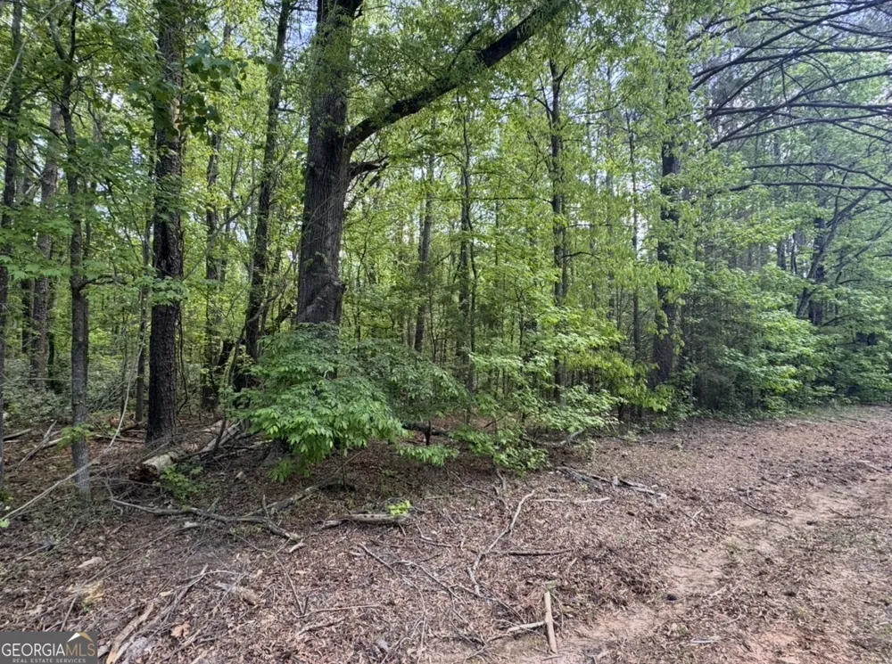 N OF 482 Antioch Road - 25.596 Acres Fayetteville, GA 30215
