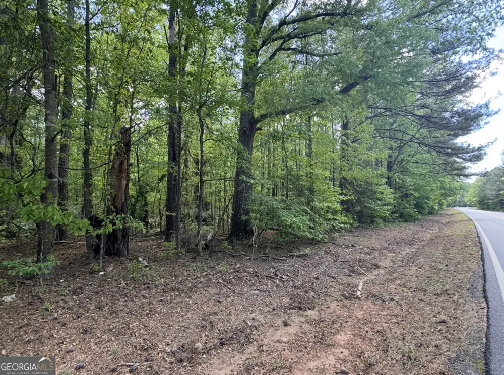N OF 482 Antioch Road - 25.596 Acres Fayetteville, GA 30215