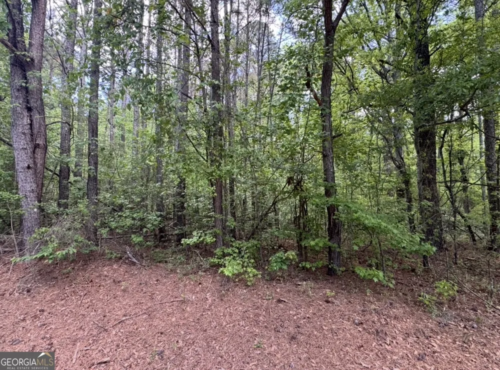 N OF 482 Antioch Road - 25.596 Acres Fayetteville, GA 30215