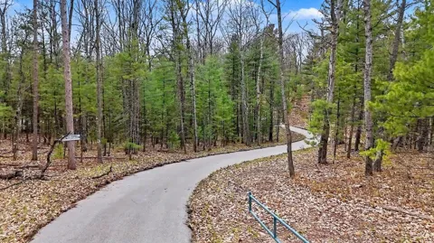 195 Starflower Lane