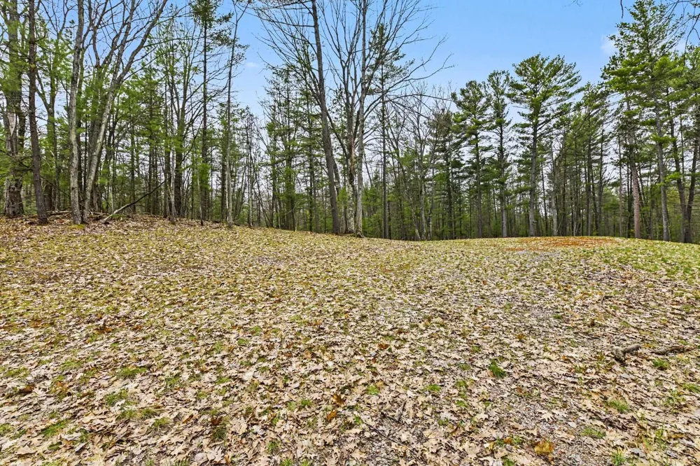 195 Starflower Lane Whitewater Township, MI 49686