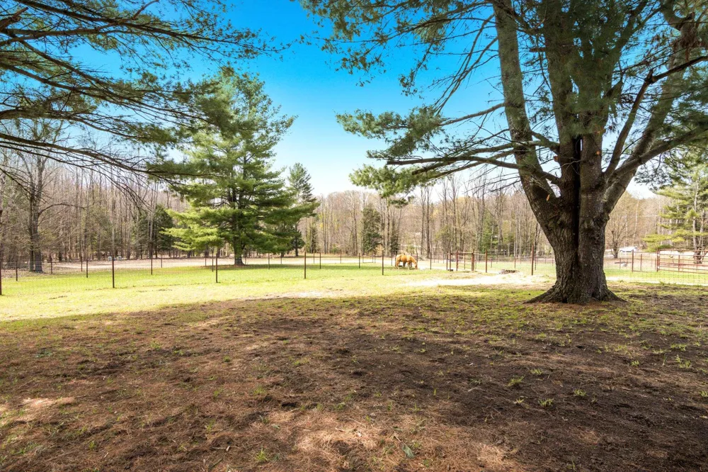 8124 Crisp Road Whitewater Township, MI 49690
