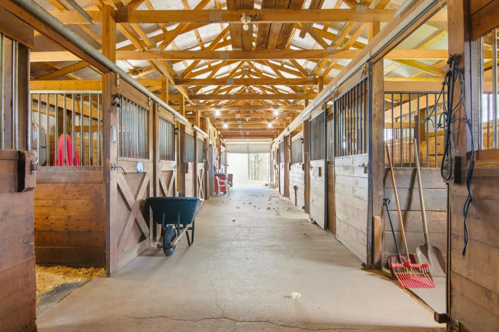 8124 Crisp Road Whitewater Township, MI 49690