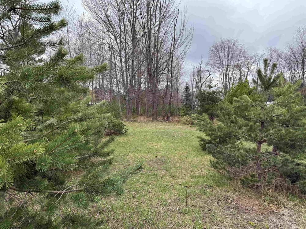 NE County Road 612 Coldsprings Township, MI 49646