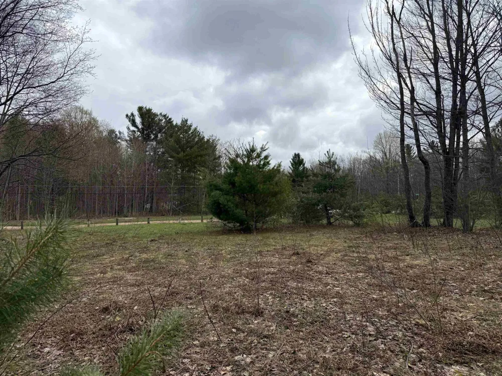 NE County Road 612 Coldsprings Township, MI 49646