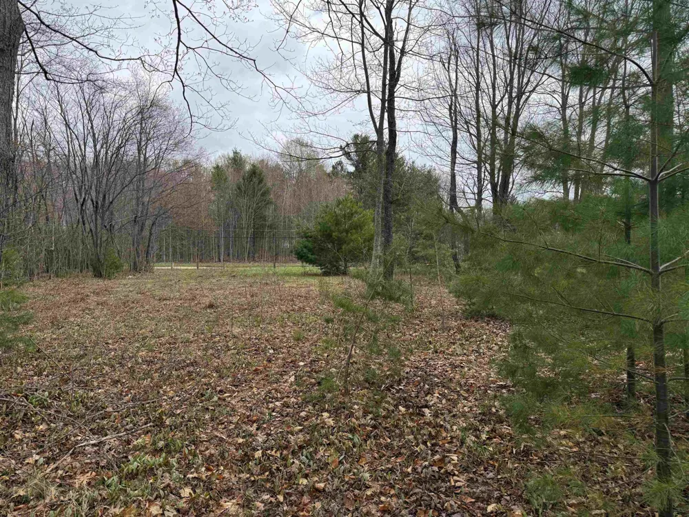 NE County Road 612 Coldsprings Township, MI 49646