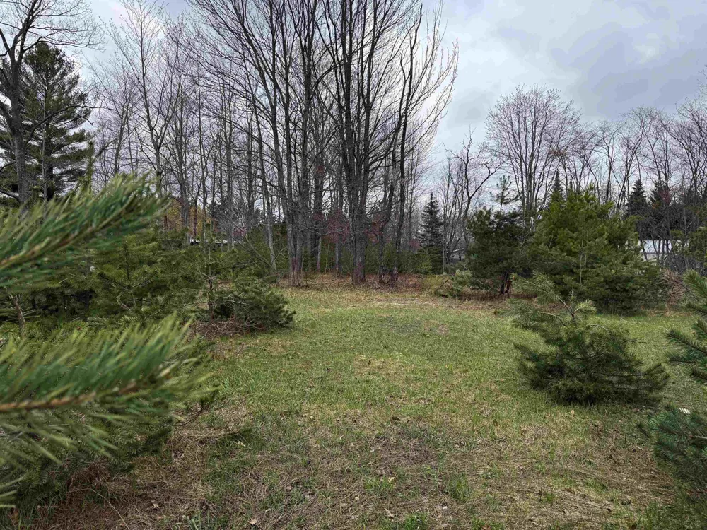 NE County Road 612 Coldsprings Township, MI 49646