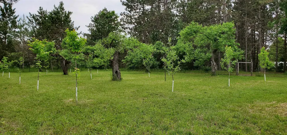 493 NE County Road 571 Excelsior Township, MI 49646