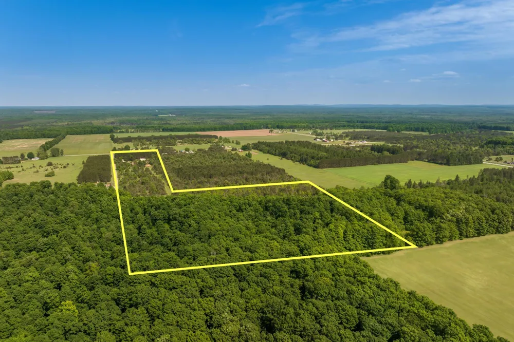 493 NE County Road 571 Excelsior Township, MI 49646