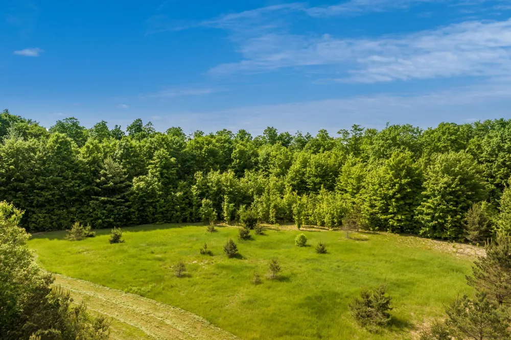 493 NE County Road 571 Excelsior Township, MI 49646