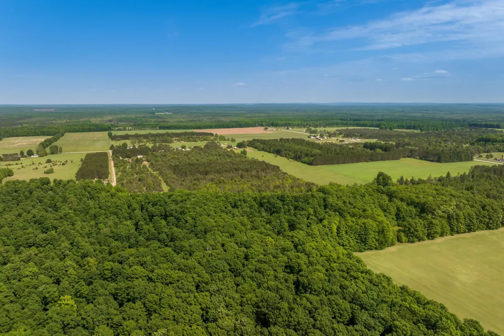 493 NE County Road 571 Excelsior Township, MI 49646