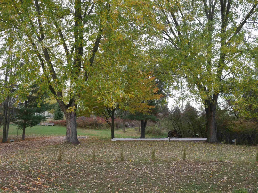 5106 Queens Way Butman Township, MI 48624