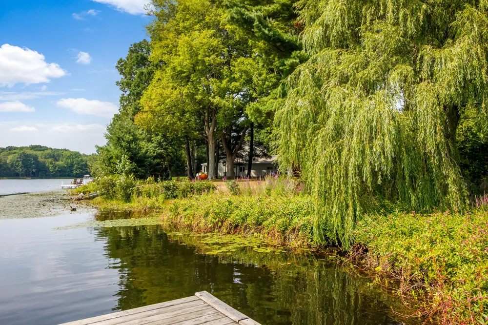 3583 Cattail Court Saugatuck Township, MI 49453