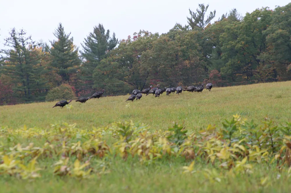 2486 S Adams Road Mikado Township, MI 48737