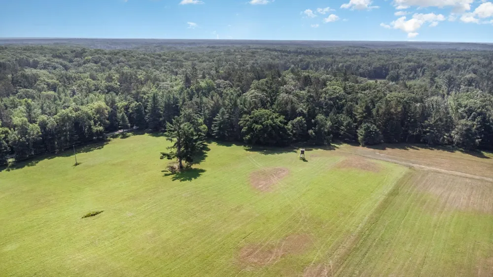 2486 S Adams Road Mikado Township, MI 48737