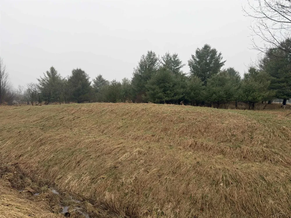 Track Iron Trail Butman Township, MI 48624