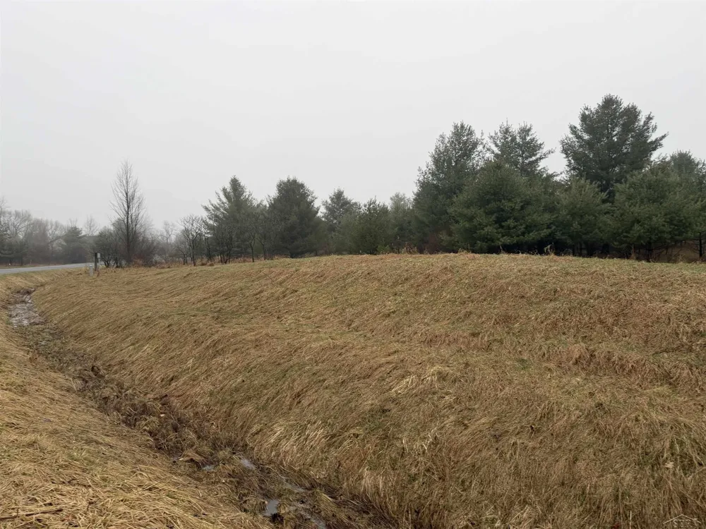 Track Iron Trail Butman Township, MI 48624