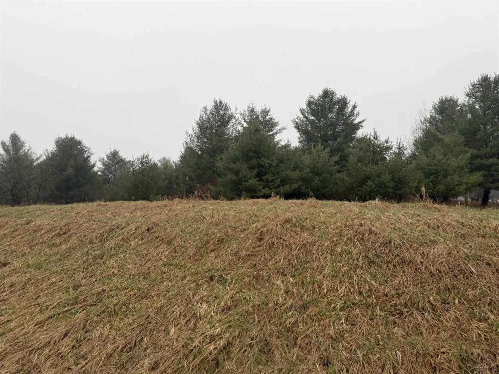 Track Iron Trail Butman Township, MI 48624