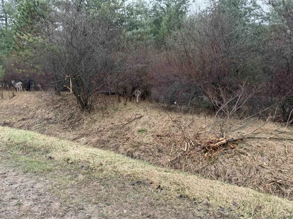Lexington Avenue Butman Township, MI 48624