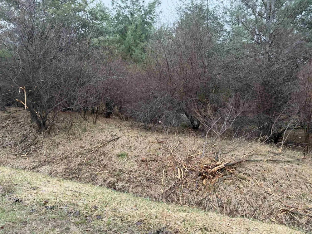 Lexington Avenue Butman Township, MI 48624