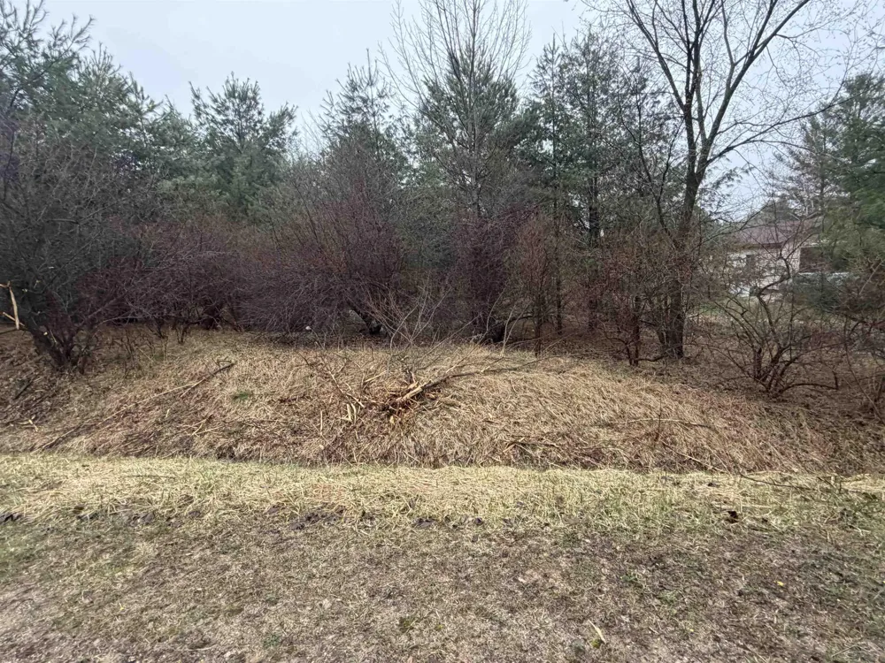 Lexington Avenue Butman Township, MI 48624
