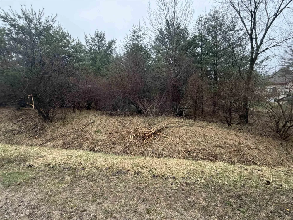 Lexington Avenue Butman Township, MI 48624