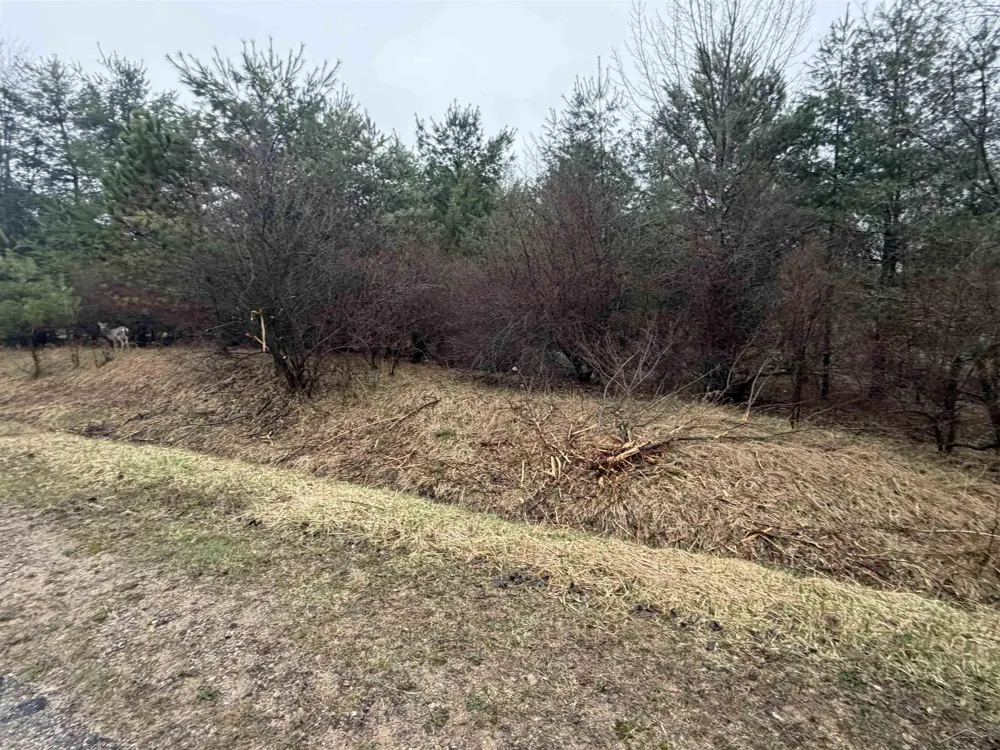 Lexington Avenue Butman Township, MI 48624