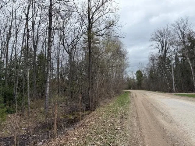 8618 Partridge Trail Elk Rapids Township, MI 49629