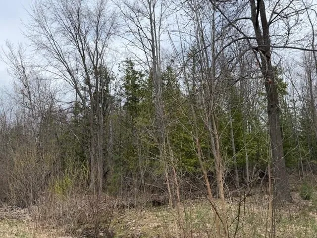 8618 Partridge Trail Elk Rapids Township, MI 49629