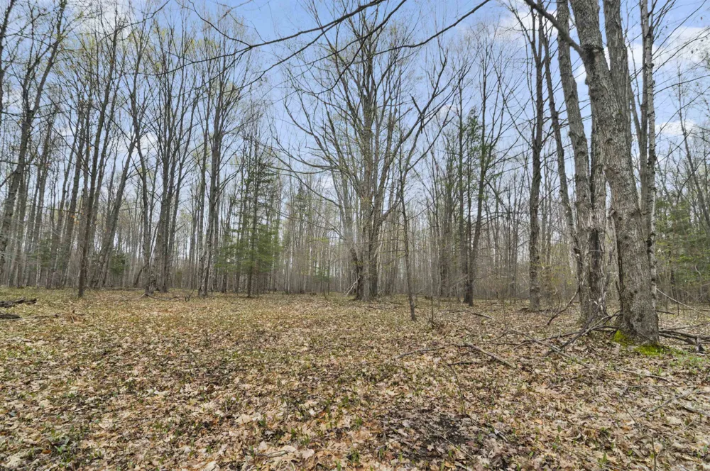 2561 E Johnson Road Norwich Township, MI 49651
